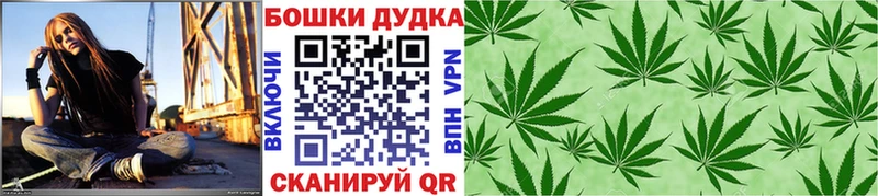 где купить наркоту  Оленегорск  Каннабис ГИДРОПОН 